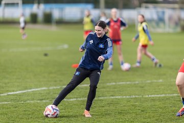 Bild 158 - wBJ Hamburger SV - Eimsbuettler TV : Ergebnis: 4:0